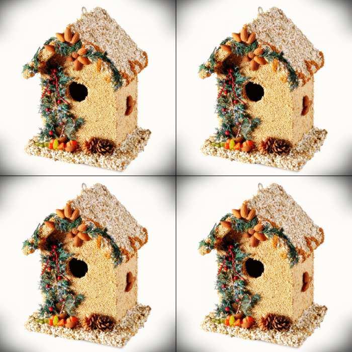 Juniper Bed & Breakfast Edible Bird House 4/Pack